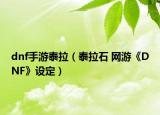 dnf手游泰拉（泰拉石 网游《DNF》设定）