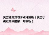 莫言红高粱句子点评赏析（莫言小说红高粱的第一句赏析）