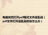 电脑突然打开pdf格式文件是乱码（pdf文件打开是乱码时该怎么办）