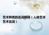 艺术种类的名词解释（人体艺术 艺术名词）