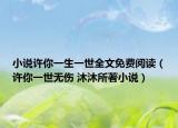 小说许你一生一世全文免费阅读（许你一世无伤 沐沐所著小说）