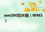 wm590芯片组（WM5）