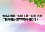 河北卫视第一剧场（第一剧场 河北广播电视台经济频道电视剧场）
