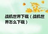 战机世界下载（战机世界怎么下载）