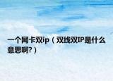 一个网卡双ip（双线双IP是什么意思啊?）