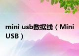mini usb数据线（Mini USB）