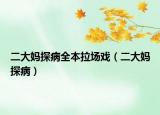 二大妈探病全本拉场戏（二大妈探病）