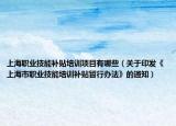 上海职业技能补贴培训项目有哪些（关于印发《上海市职业技能培训补贴暂行办法》的通知）