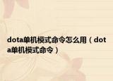 dota单机模式命令怎么用（dota单机模式命令）