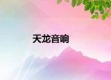 天龙音响