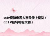 cctv模特电视大赛最佳上镜奖（CCTV模特电视大赛）