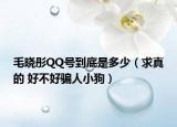 毛晓彤QQ号到底是多少（求真的 好不好骗人小狗）