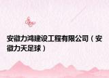 安徽力鸿建设工程有限公司（安徽力天足球）