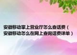 安徽移动掌上营业厅怎么查话费（安徽移动怎么在网上查询话费详单）