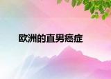 欧洲的直男癌症