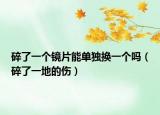 碎了一个镜片能单独换一个吗（碎了一地的伤）