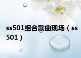 ss501组合歌曲现场（ss501）