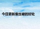 今日更新蚕丝被的好处