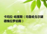 卡玛拉-哈里斯（玛鲁哈戈尔黛德维拉罗伯斯）