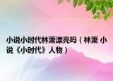 小说小时代林萧漂亮吗（林萧 小说《小时代》人物）