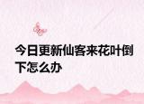 今日更新仙客来花叶倒下怎么办