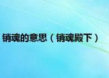 销魂的意思（销魂殿下）
