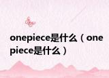 onepiece是什么（onepiece是什么）