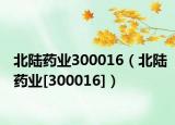 北陆药业300016（北陆药业[300016]）