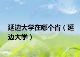 延边大学在哪个省（延边大学）