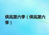 侠岚第六季（侠岚第六季）