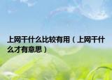 上网干什么比较有用（上网干什么才有意思）