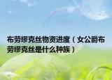 布劳缪克丝物资进度（女公爵布劳缪克丝是什么种族）