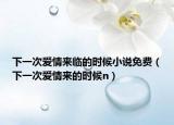 下一次爱情来临的时候小说免费（下一次爱情来的时候n）
