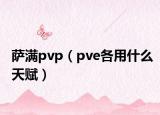 萨满pvp（pve各用什么天赋）