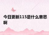 今日更新115是什么意思啊