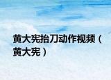 黄大宪抬刀动作视频（黄大宪）