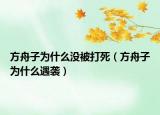 方舟子为什么没被打死（方舟子为什么遇袭）