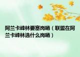 阿兰卡峰林要塞岗哨（联盟在阿兰卡峰林选什么岗哨）