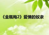 《金瓶梅2》爱情的奴隶