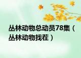 丛林动物总动员78集（丛林动物找茬）
