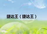 捷达王（捷达王）