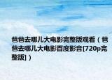 爸爸去哪儿大电影完整版观看（爸爸去哪儿大电影百度影音[720p完整版]）