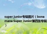 super junior专辑图片（bonamana Super Junior第四张专辑）