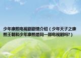 少年康熙电视剧剧情介绍（少年天子之康熙王朝和少年康熙是同一部电视剧吗?）