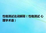 性格测试名词解释（性格测试 心理学术语）
