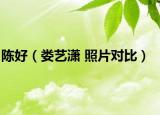 陈好（娄艺潇 照片对比）