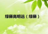 绿藤高明远（绿藤）