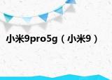 小米9pro5g（小米9）