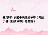 主角叫叶辰的小说仙武帝尊（叶辰 小说《仙武帝尊》男主角）