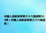 中国人民解放军第三十八集团军113师（中国人民解放军第三十八集团军）